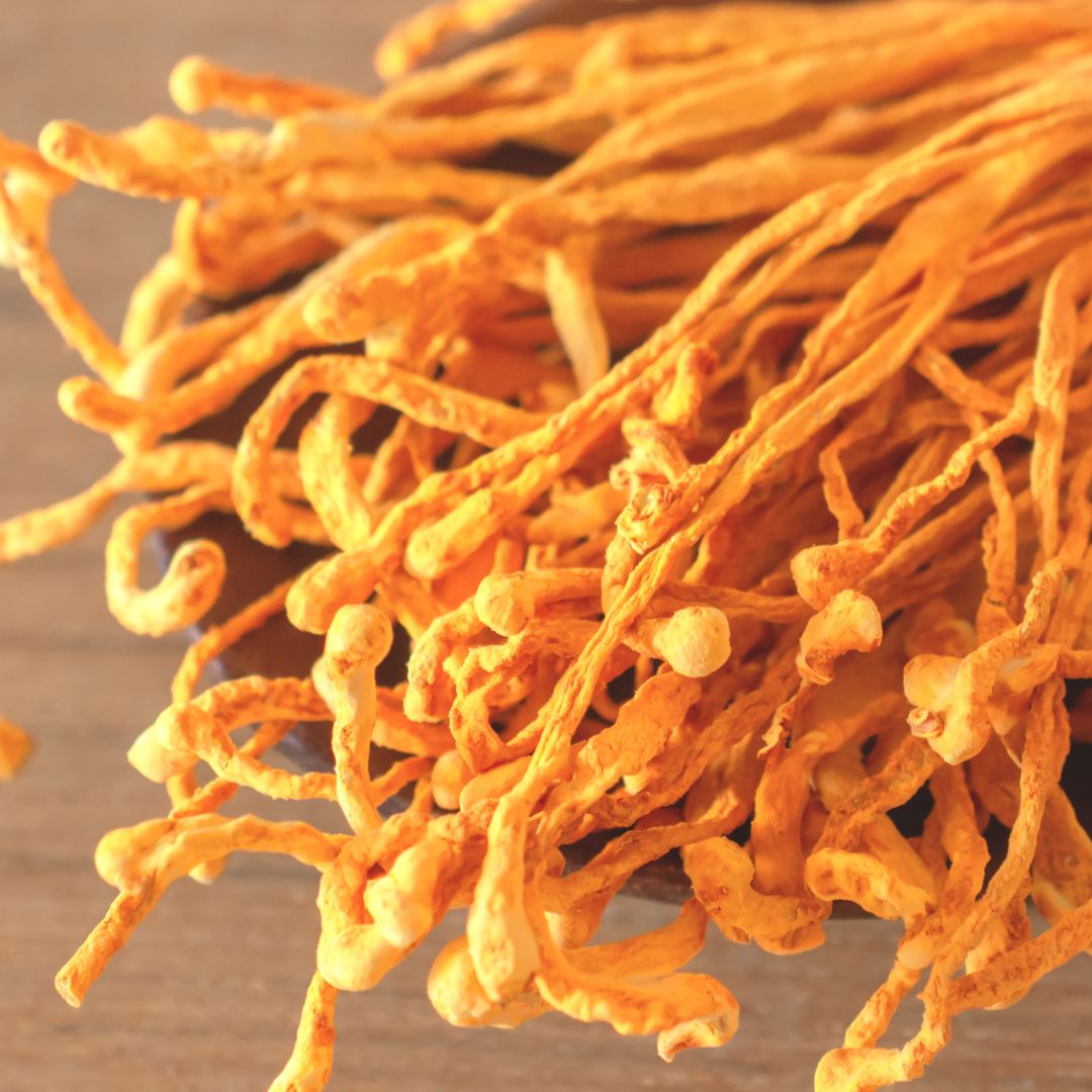 Mushroom extracts on a wooden surface