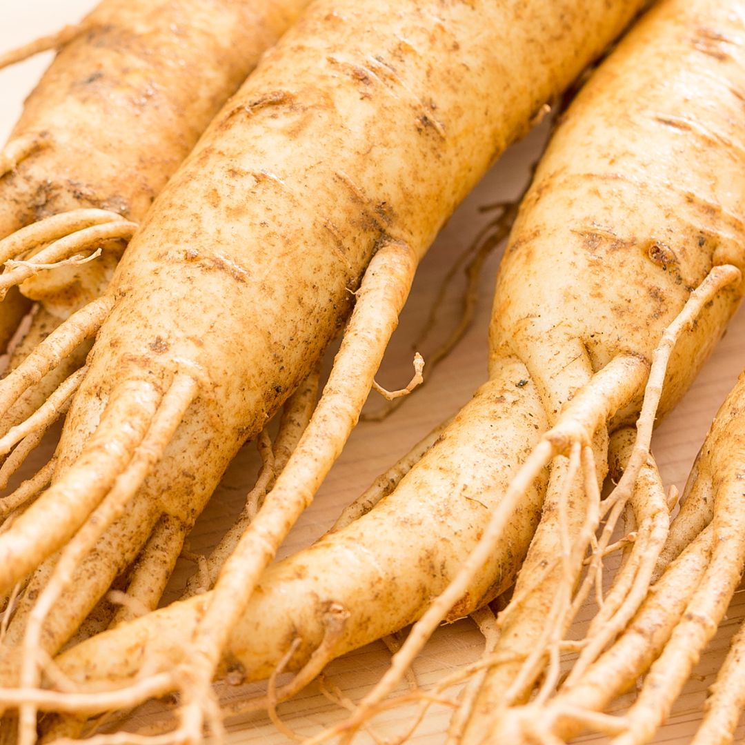 Plant roots on a wooden surface