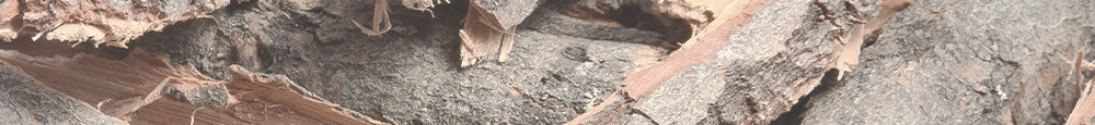 Close up of willow bark extract