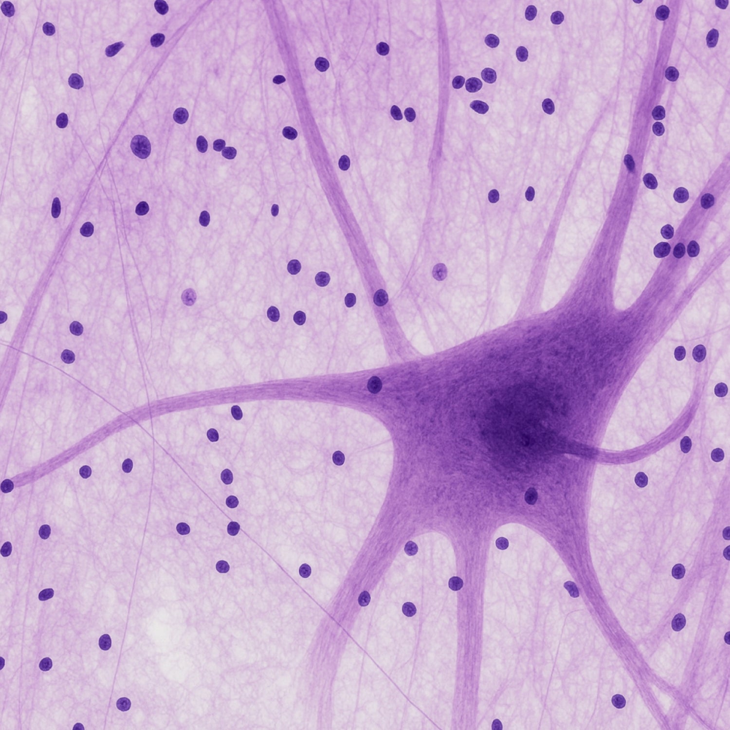 Microscopic image of cell