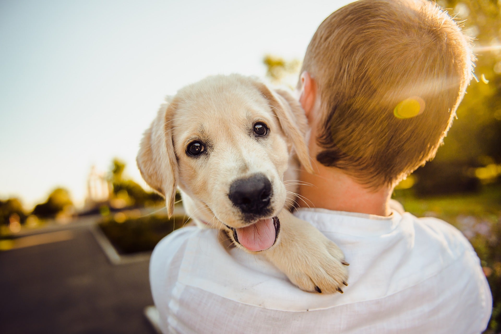 The Physical & Mental Benefits Of Having A Pet