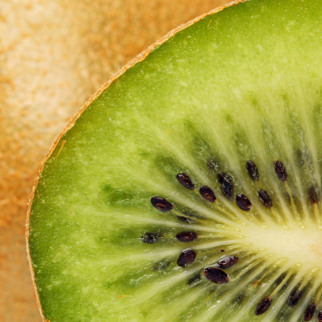 Close-up of a sliced kiwi fruit  on a brown background