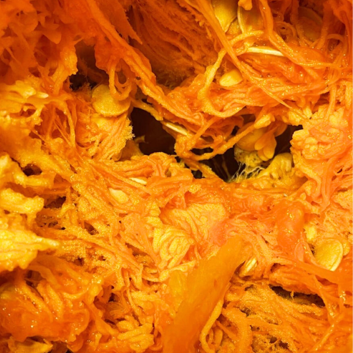 Close-up of a pumpkin's interior with seeds and fibrous strands.