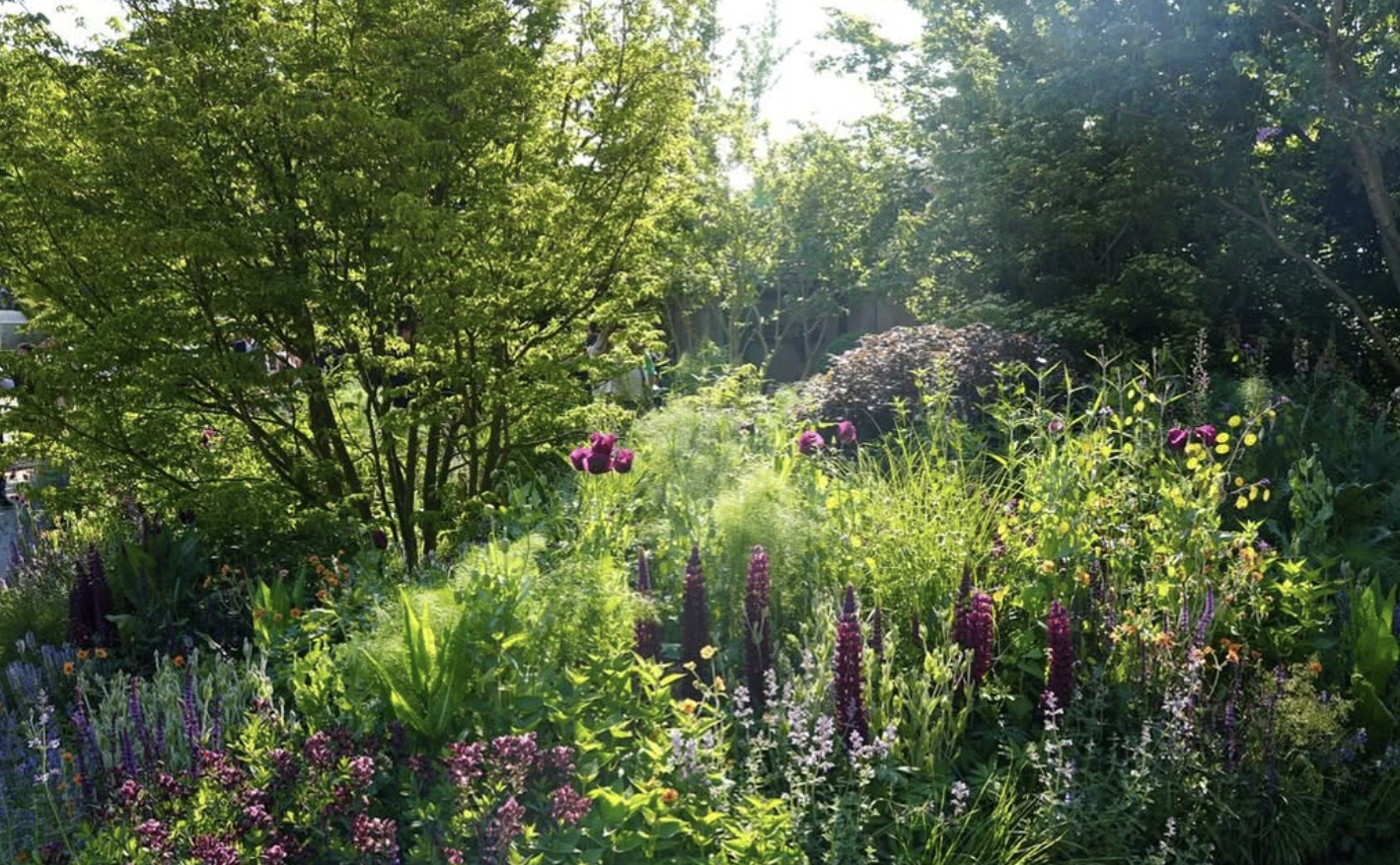 Photo of RHS Hampton Court Palace gardens