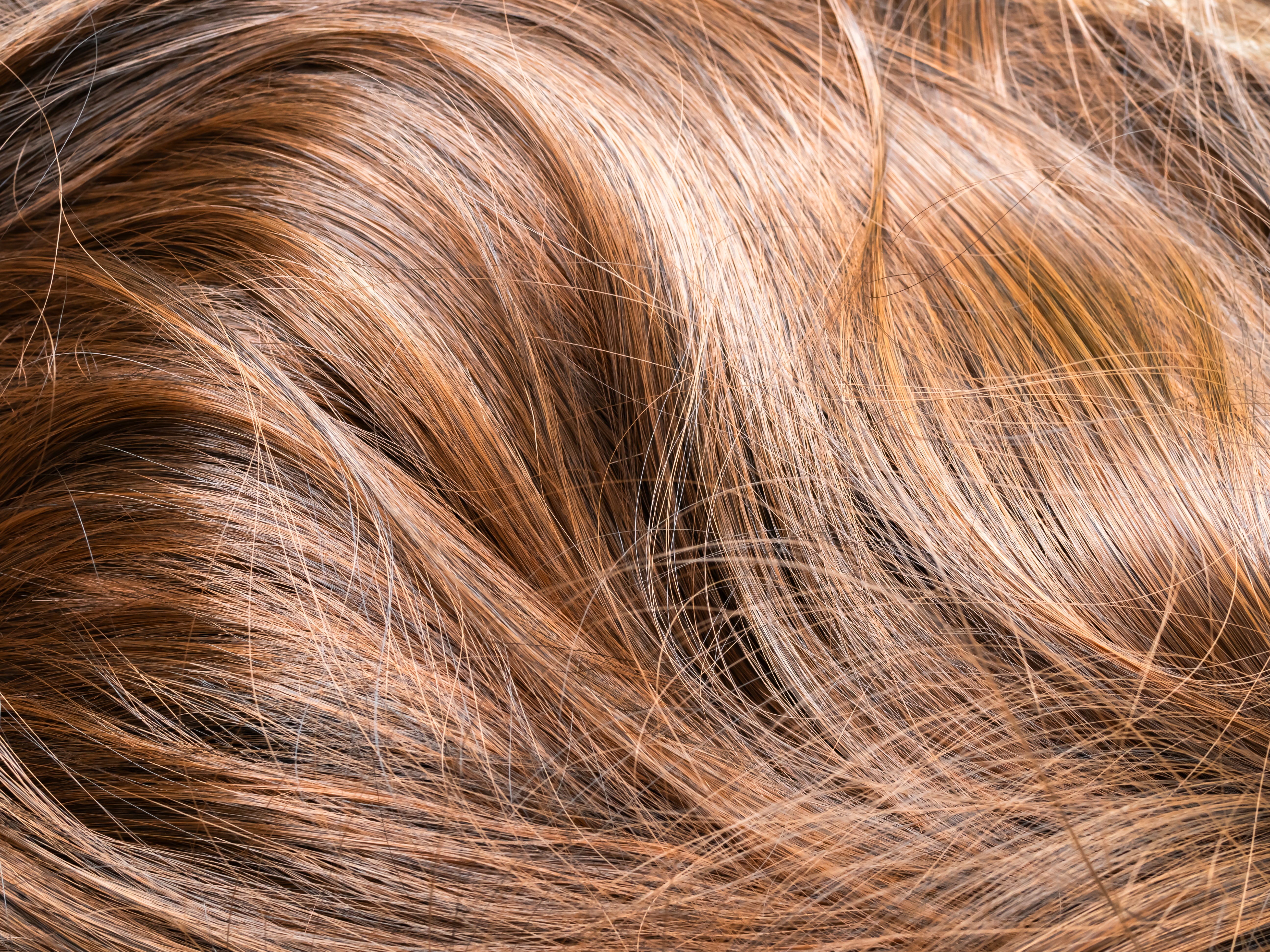 Closeup of hair